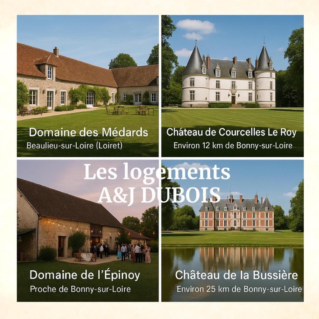 A&Jduplex - Bonny Sur Loire - Chateaux De Guedelon - Pont Canal Eksteriør bilde